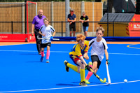 SAT 12.10 P6 Trophy- North East v West Panthers 93