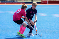 SUN 09.45 P6 TROPHY - Mercian Marauders v West Panrthers 99