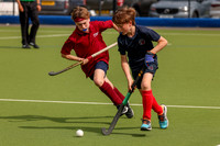 FRI 16.10 P2  Championship Tensworth II v Saxons
