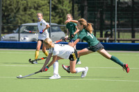 Saturday 14.30 P2 South Saxons v Mid Bees CHAMPIONSHIP