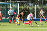 Friday 16.15 P2 West Panthers v Mid Bees CHAMPIONSHIP