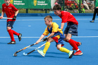 SUN 10.55 P4 Trophy - Ulster v North East