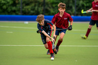 5th / 6th - Tensworth v South Saxons