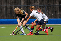 Sunday 13.45 P2 Tensworth v Warwickshire CHAMPIONSHIP